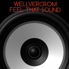 WELLVERCROM- Feel That Sound (Original Mix)
