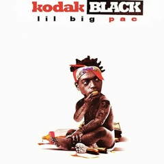 Kodak Black x Juice 205 - Can I (COVER) SUMMER 16