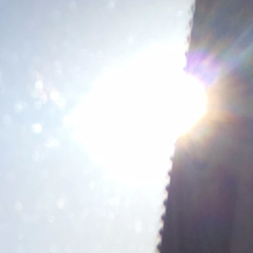 Oneiric Activity // Live-Preview
