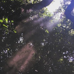 Cujo - Reminisce(prod. DJMONSTROM)