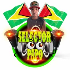 SELECTOR PAPO SUMMER MIX