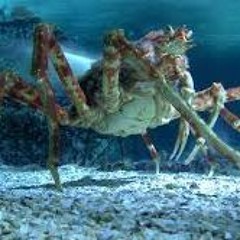 Jay Redfern & Nick Coles 'C-Lyfe'