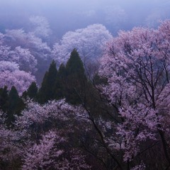 I'm trying my best...