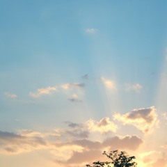 Far Daylight