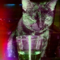 wun on the rocks (wax cat x Kno.T)