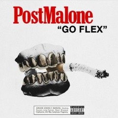 Go Flex - Post Malone (IVISH Remix)