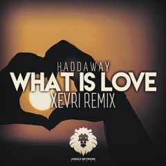 Haddaway - What Is Love (XEVRI REMIX)