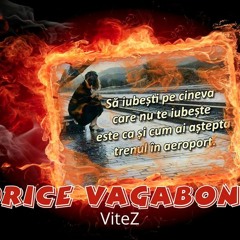 ViteZ - Orice Vagabont