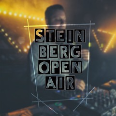 Nico Pusch @ Steinberg OPENAIR 2016