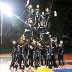 TNALAK FESTIVAL CDC 2016 - MCR CHEETAHS CHEERMIX (DJ Algen Landas)