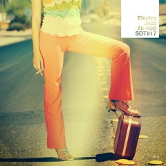 SDT#17