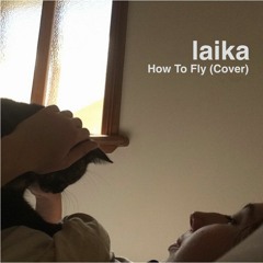 How To Fly (Sticky Fingers Cover)