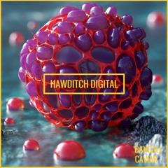Bancali - Caviar