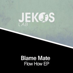 Blame Mate - Fool Vibe (Preview)