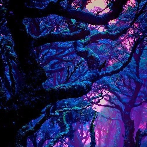 Jvmîsøn - The Switch