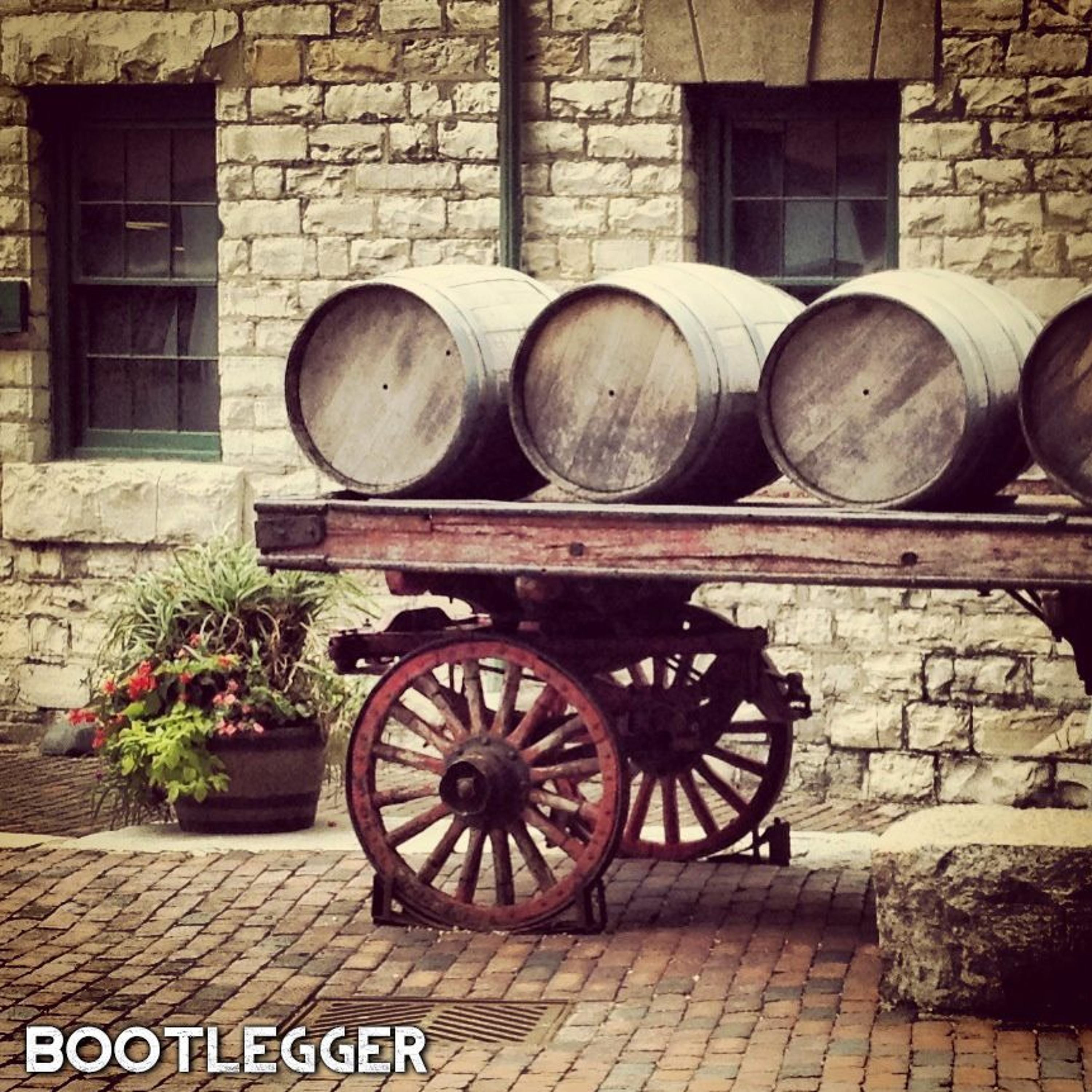 Bootlegger episode artwork