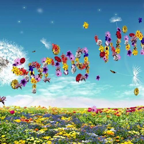Kisa & Nanook - Spring Wind (Original Mix)