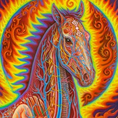 ILL Horse's Old Hard Trance