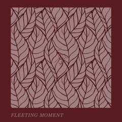 Fleeting Moment | Demo (Free Download)