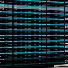 Strawberry Live Act 2016.07