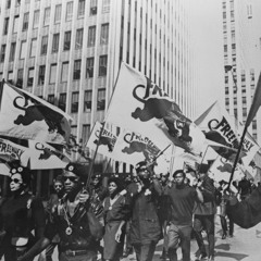 Rebelution - Cole Dorman