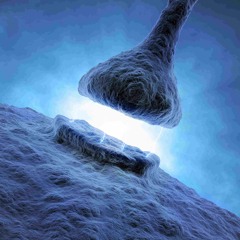 #TTOM (The Transience Of Memories) --- SynTalk