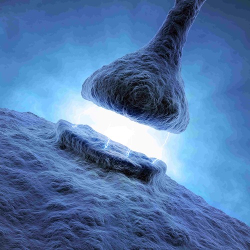 #TTOM (The Transience Of Memories) --- SynTalk