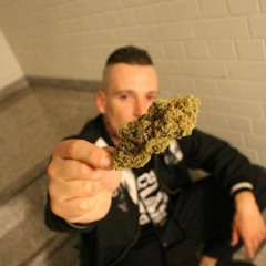 LX 16 Bars