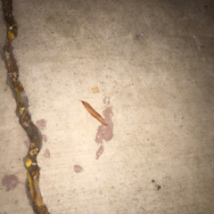 DONT OWE YOU NOTHING (Prod. by JO$HEATN)