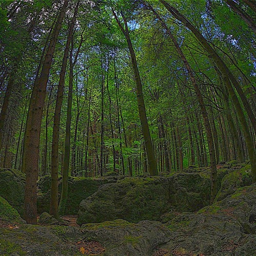 Chase/Deal with the Dark Wizard