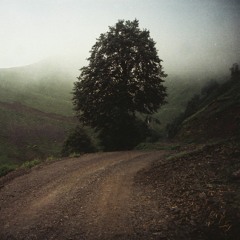 ნინო ქათამაძე - ბაიათი