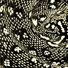 Transitus [disquiet 0237]