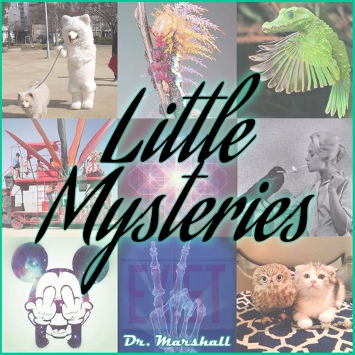 Little Mysteries