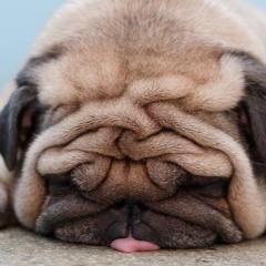 Nightcore – I'll Be Your Reason