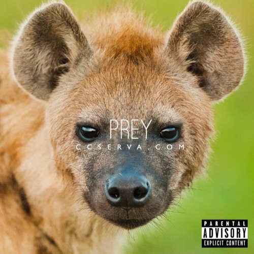 P R E Y :  DAY 1
