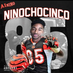 No Flocking (freestyle)