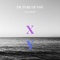 Picture Of You - Cover