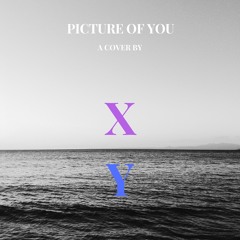 Picture Of You - Cover