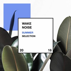 WAKE NOISE Summer 2016 SELECTION