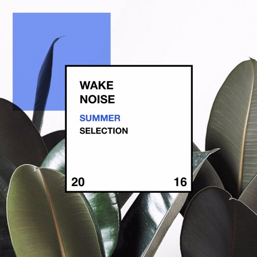 WAKE NOISE Summer 2016 SELECTION