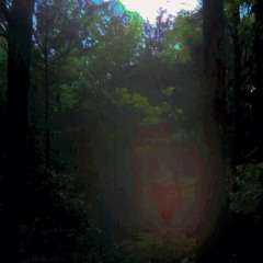 a short walk around the block...