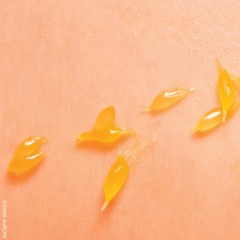 JANAINA FELLINI | TANGERINA Bernardo Bravo / Conde Baltazar)