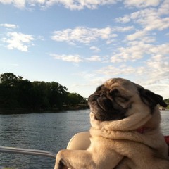 dream a little dream of me