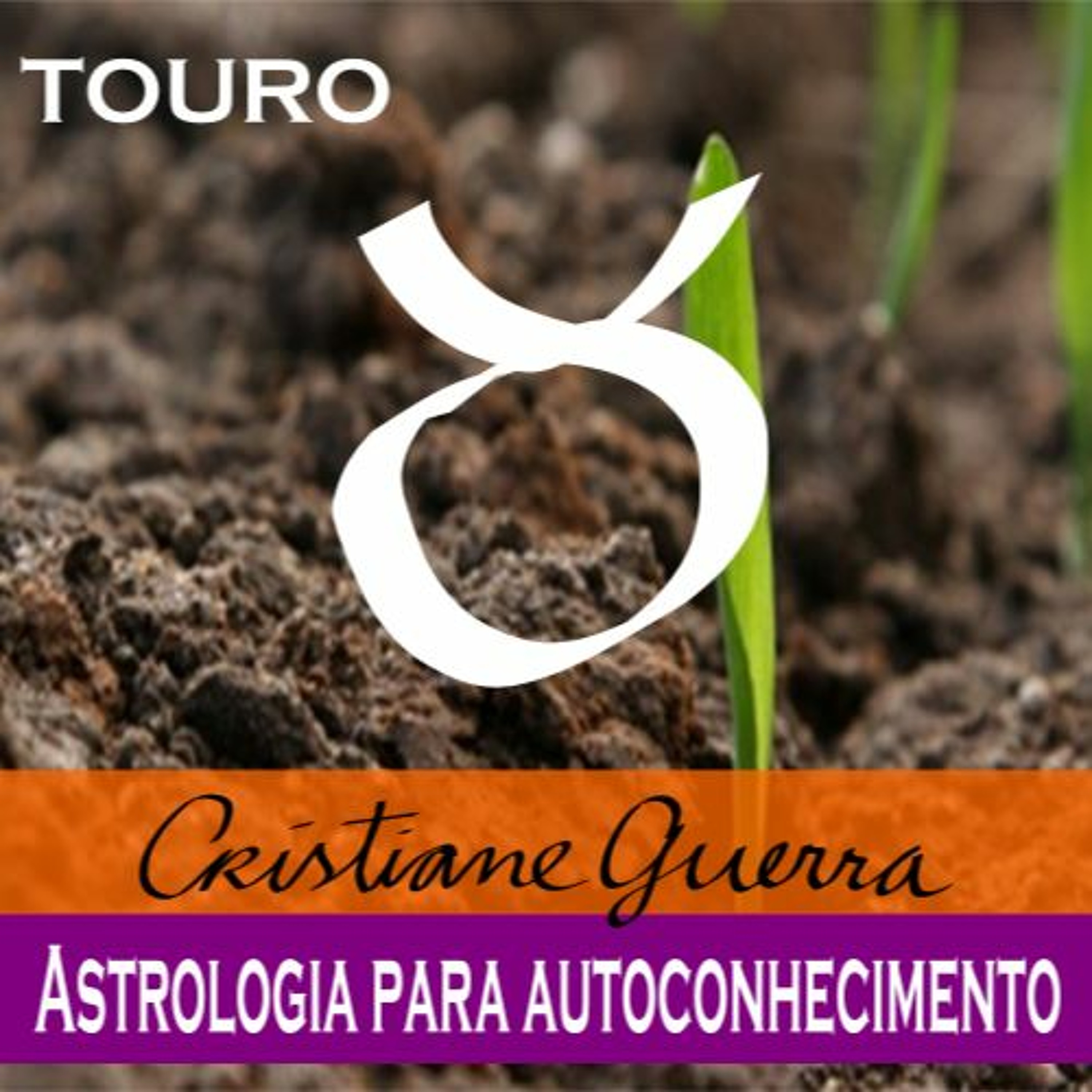 Touro-horóscopo 18 a 24/7/16 #Cristiane Guerra 094