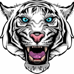 Wildcat Outro song- Breaking Through By The Wreckage