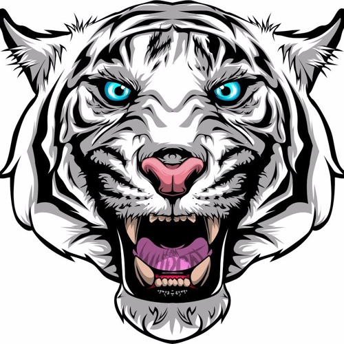 Wildcat Outro song- Breaking Through By The Wreckage