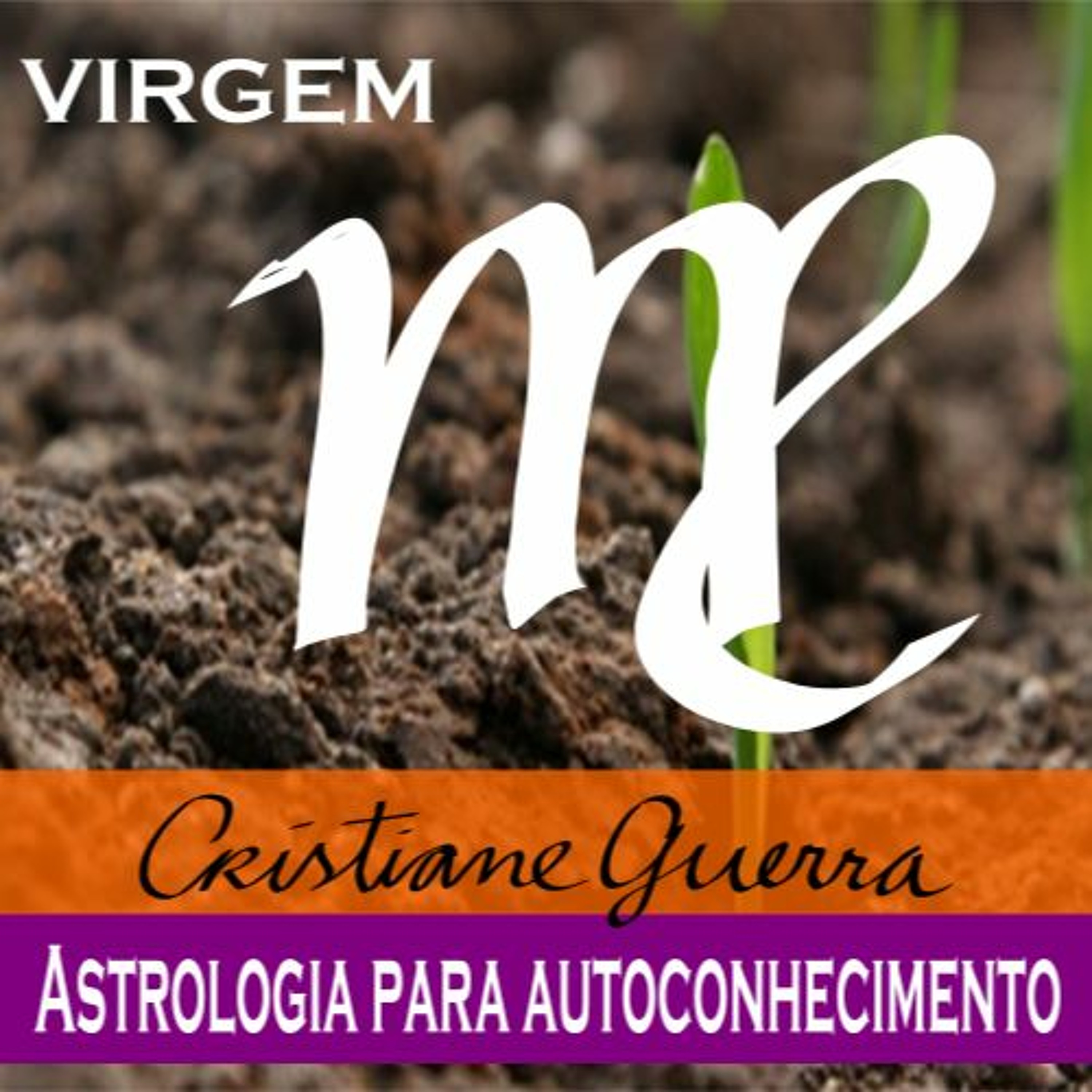 Virgem-horóscopo 18 a 24/7/16 #Cristiane Guerra 098