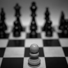 I Won't Back Down (Tom Petty Cover)