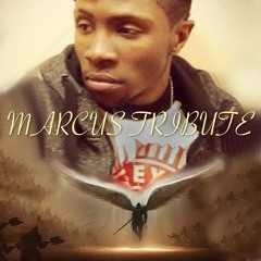Marcus Tribute