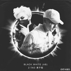 ZTAO - Black White (AB)